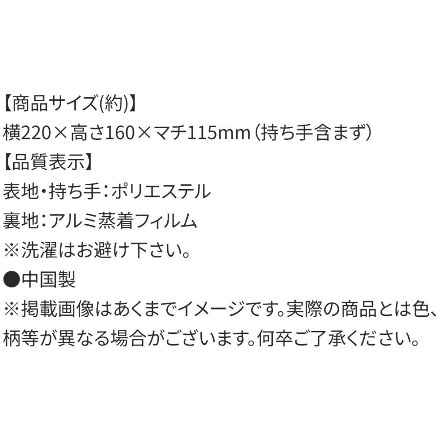 がま口型ランチバッグ ベイマックスとモチ SKATER スケーター 子供 2段タイプ Wファスナー アルミ蒸着素材(内側) サイズ160×220×マチ120mm 677755-KGA1 ◆メ | スケーター | 03