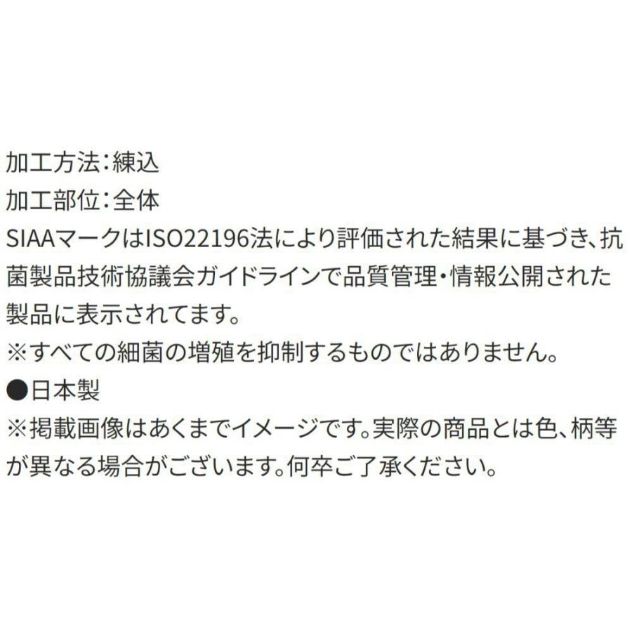 弁当用箸 ポケットモンスター 25 ポケモン スライド箸＆箸箱セット SKATER 子供 箸16.5cm スライド式 ストッパー付 名前シール付 696244-ABS2AMAG ◆メ | スケーター | 03
