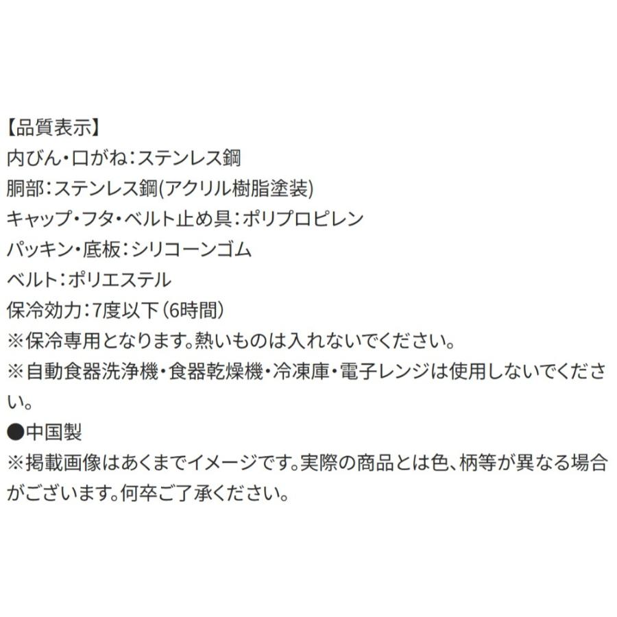 水筒 ポケットモンスター 25 ポケモン ショルダーベルト付ダイレクトステンレスボトル SKATER 保冷 子供 容量600ml 直飲み ワンプッシュ 696428-STCH6 ◆宅 | スケーター | 03