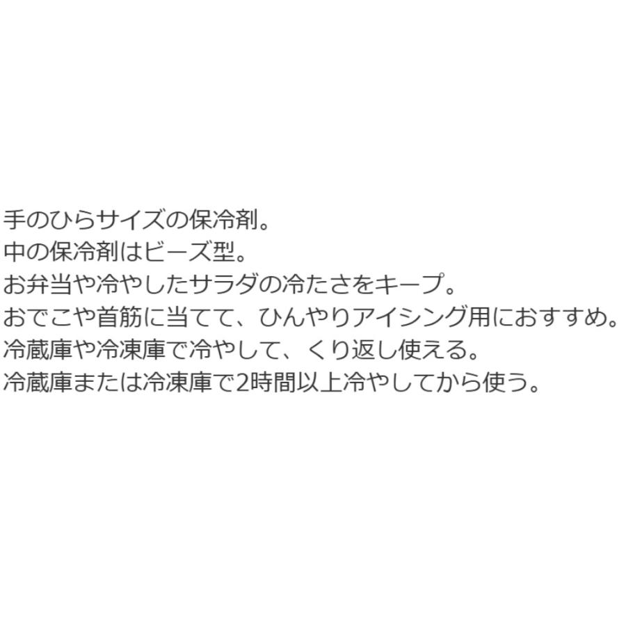 保冷剤 ビーズ保冷剤 トミカ TOMICA SKATER スケーター 保冷 暑さ対策 かわいい キッズ 子供 ソフトタイプ サイズ14×8cm 706370-CLB1 ◆メ | スケーター | 02