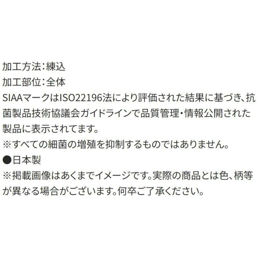 弁当用箸 アナと雪の女王 中川翔子 スライド箸＆箸箱セット SKATER スケーター 子供 箸16.5cm スライド式 ストッパー付 名前シール付 709531-ABS2AMAG ◆メ | スケーター | 03