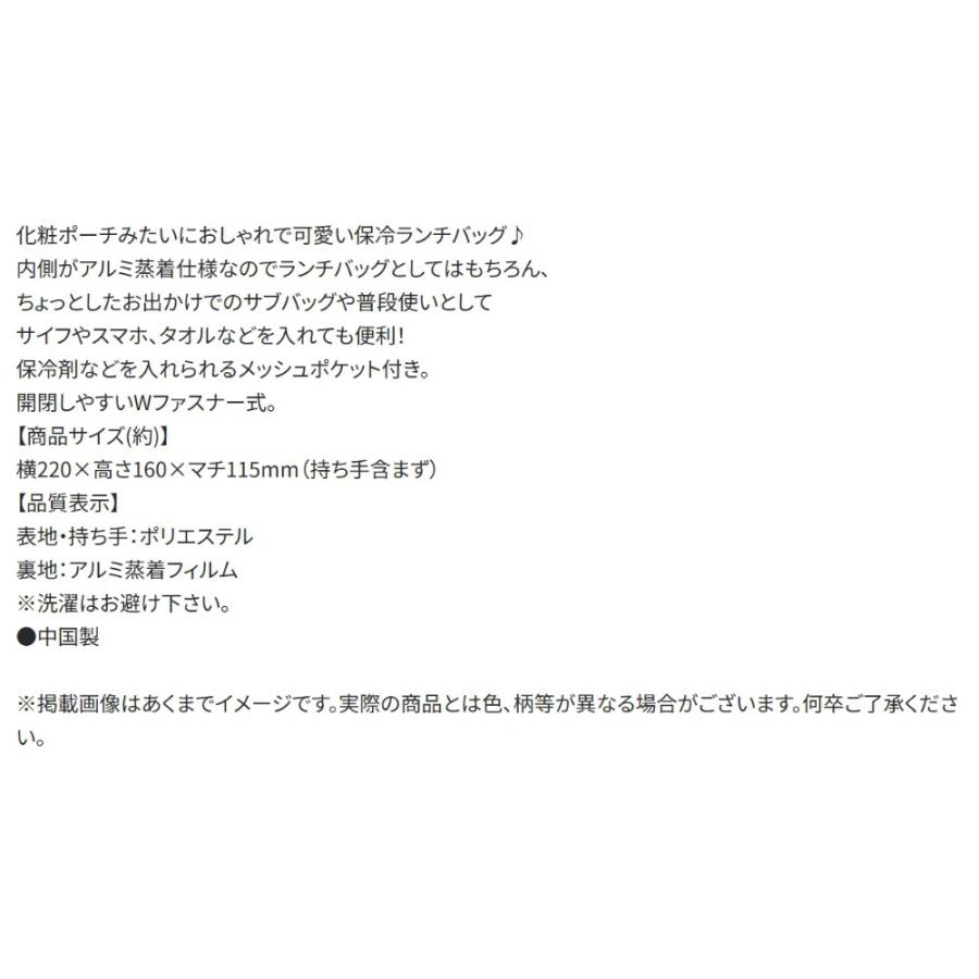 がま口型ランチバッグ アナと雪の女王 26 SKATER スケーター 子供 2段 Wファスナー アルミ蒸着素材(内側) サイズ160×220×マチ120mm 721540-KGA1 ◆メ | スケーター | 03