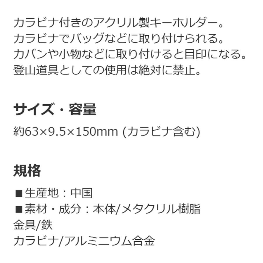 キーホルダー 名探偵コナン 江戸川コナン SKATER スケーター 子供 かわいい カラビナ付き アクリル製 サイズ63×9.5×150mm(カラビナ含む) 740145-ZCAKH1 ◆メ | スケーター | 02