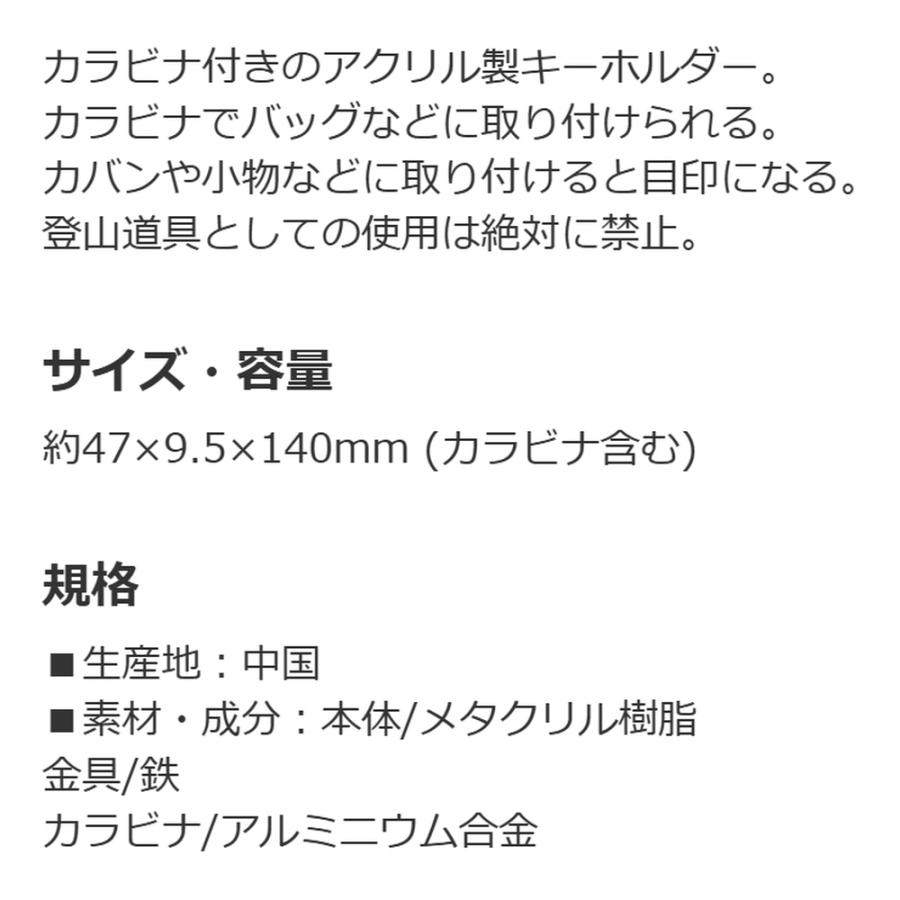 キーホルダー 名探偵コナン 灰原哀 SKATER スケーター 子供 かわいい カラビナ付き アクリル製 サイズ63×9.5×150mm(カラビナ含む) 740152-ZCAKH1 ◆メ | スケーター | 02