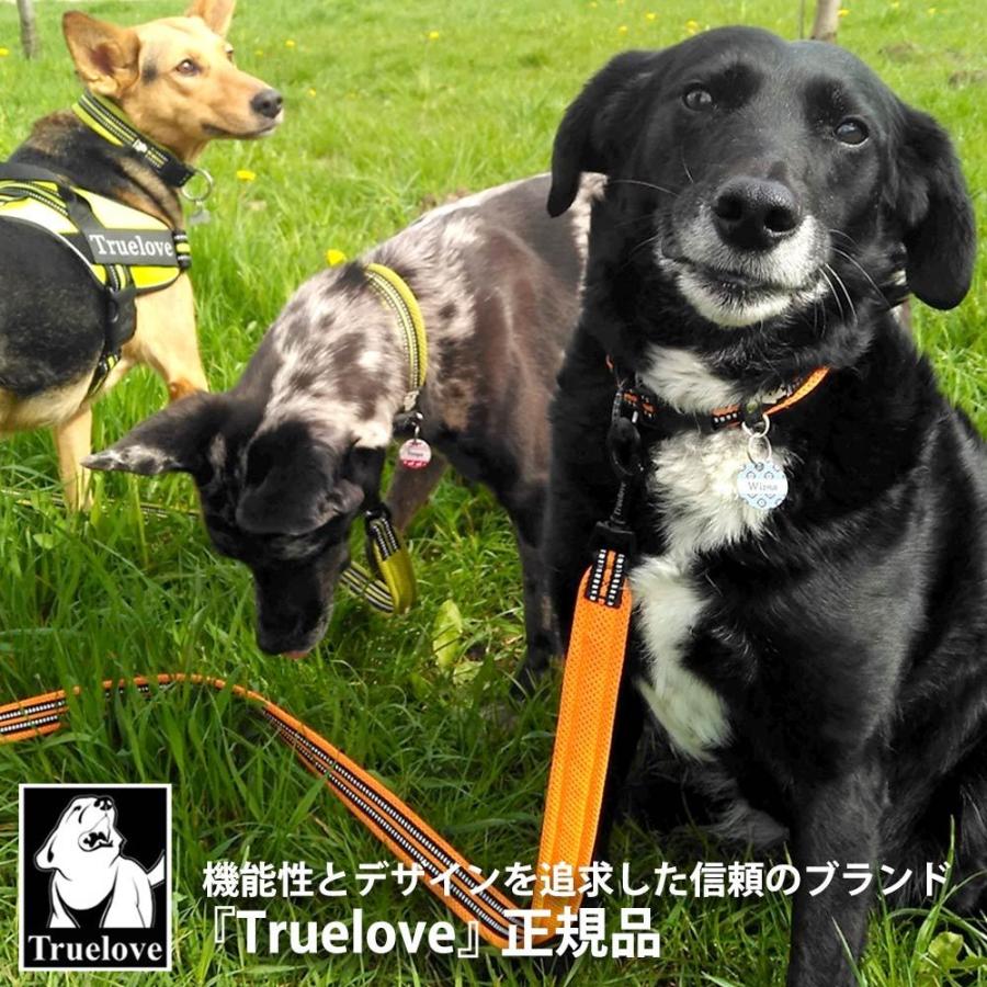 Truelove 犬 リード 散歩 小型犬 Sサイズ(5-10kg) 幅1.5cm 長さ110cm ナイロン 3M反射素材 高強度ナスカン 水洗い ネオンイエロー TLL2111-1M-NY-S ◆宅 | ブランド登録なし | 01