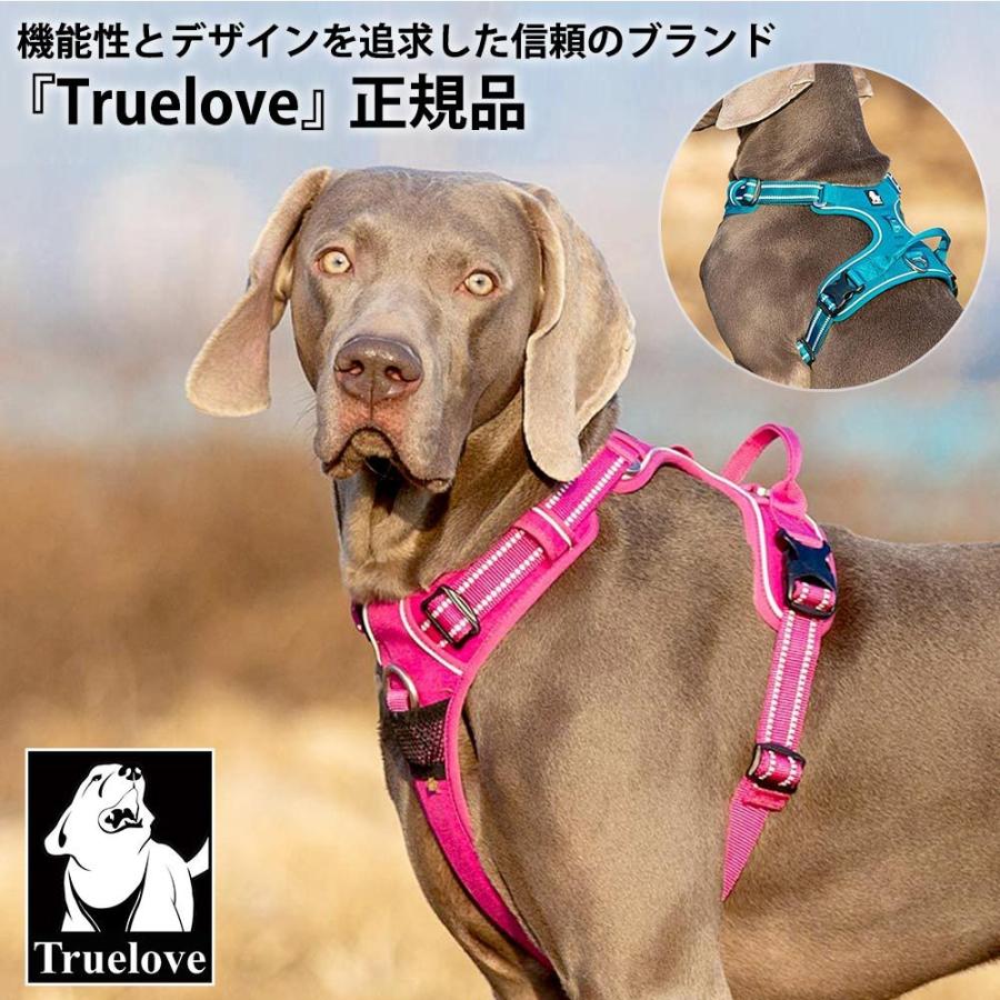 Truelove 犬 頭を通さない ハーネス 超小型犬 XSサイズ 軽量 抜けない 痛くない 簡単装着 サイズ調整 胴囲 33-43cm 水洗い パープル TLH56512-PU-XS ◆宅 | ブランド登録なし | 02