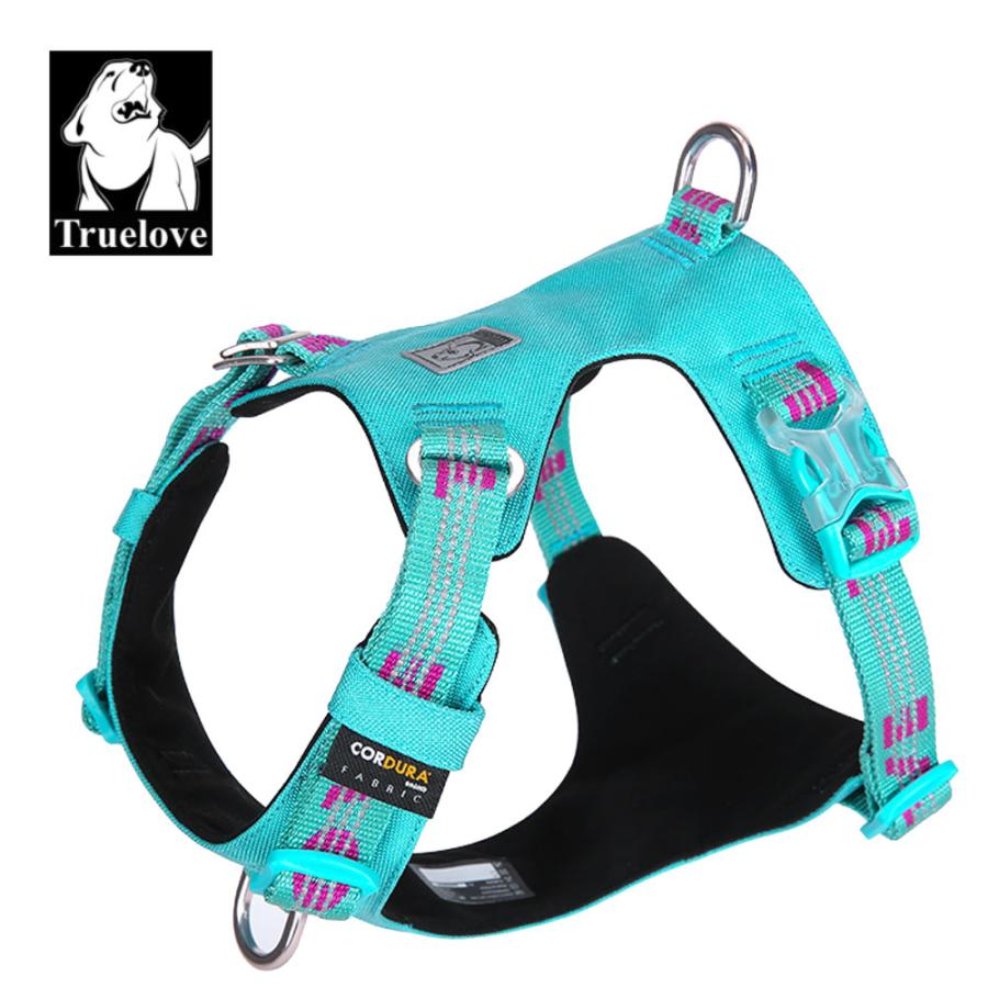 Truelove 授権店 犬 頭を通さない ハーネス 小型犬 XSサイズ 散歩 CORDURA防水素材 痛くない 簡単装着 サイズ調整 胴囲 33-43cm  ブルー TLH6282-BL-XS ◆メ | 