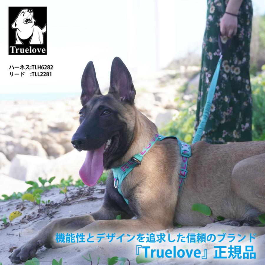 Truelove 授権店 犬 リード 散歩 お出かけ おしゃれ Lサイズ 幅 2.5cm 長さ 120-160cm ナイロン SBR防水素材 パッド入ハンドル オレンジ TLL2281-OR-L ◆宅 |  | 01