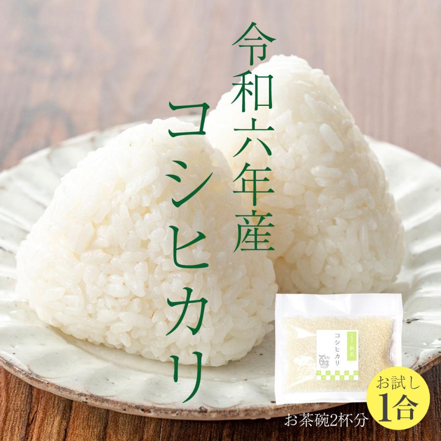 コシヒカリ 新米 1合 150g 令和6年 送料無料 ポイント消化 お試し お 