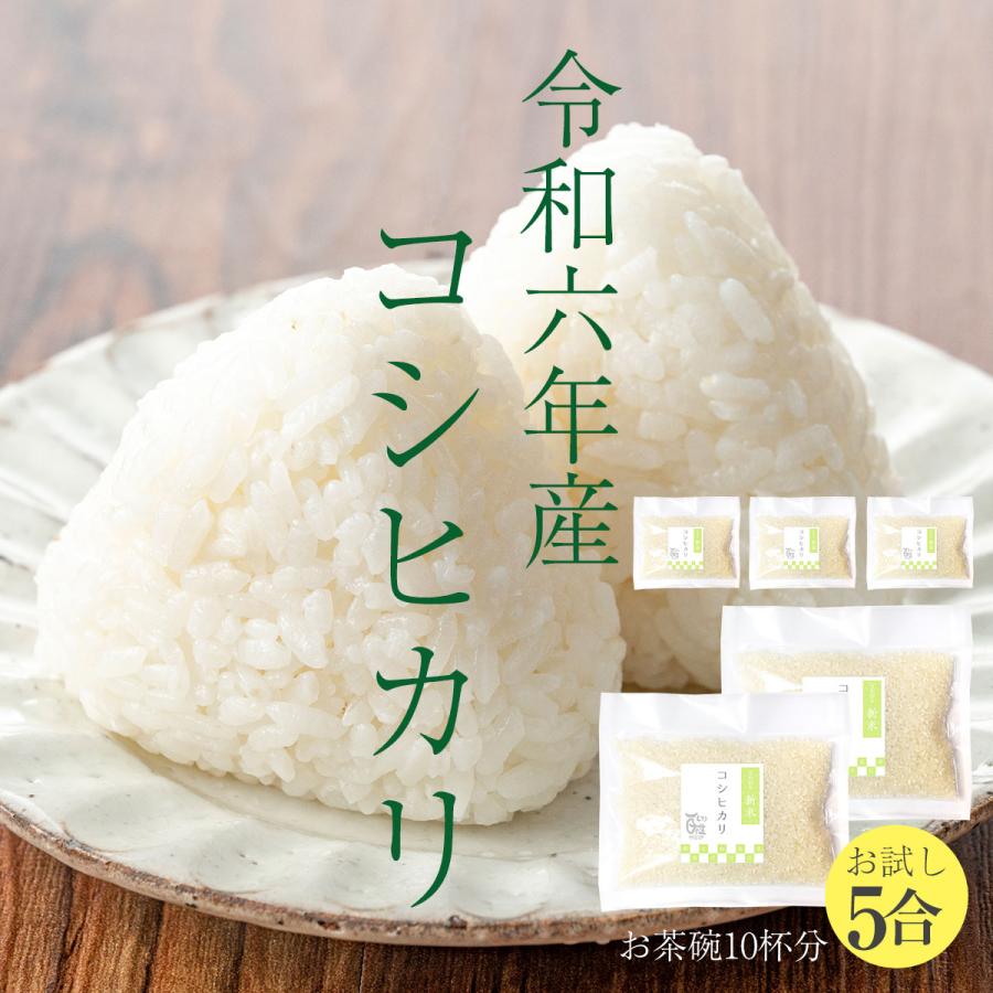 ⑤令和6年度 コシヒカリ 新米