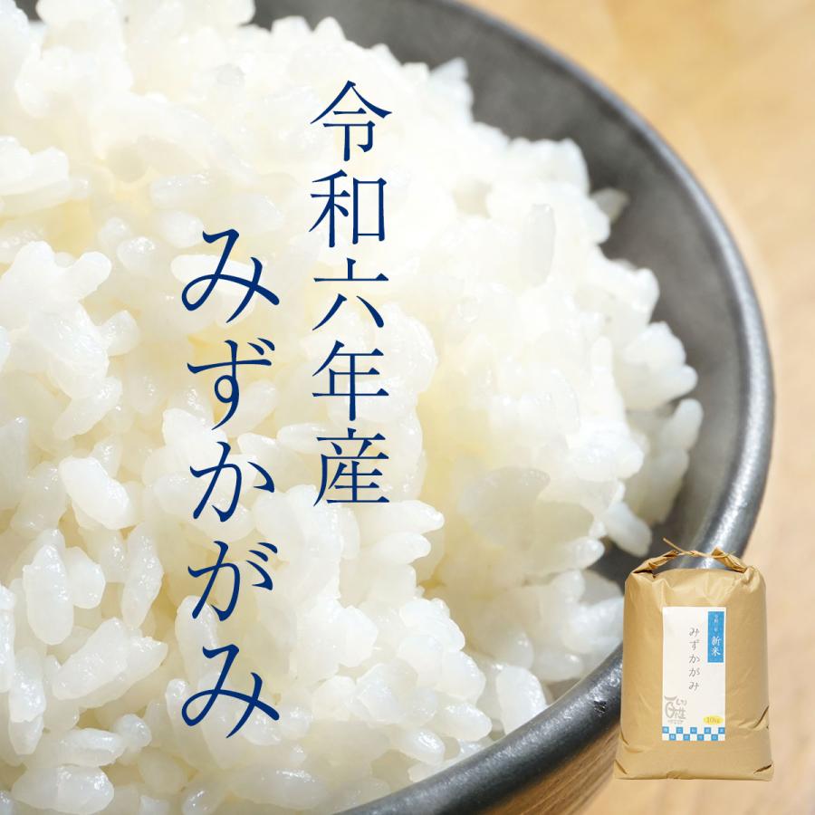 新米 みずかがみ 10kg 令和6年 送料無料 お米 白米 玄米 1等級米 新米 みずかがみ 10kg 令和6年 送料無料 お米 白米 玄米 1等級米