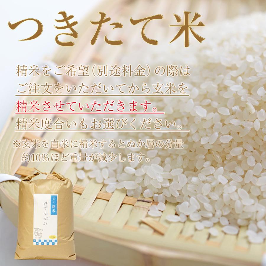 新米 みずかがみ 10kg 令和5年 送料無料 お米 白米 玄米 1等級米 10キロ 米 近江米 米10kg 農家直送 滋賀県 産地直送 即日発送｜flashone｜07