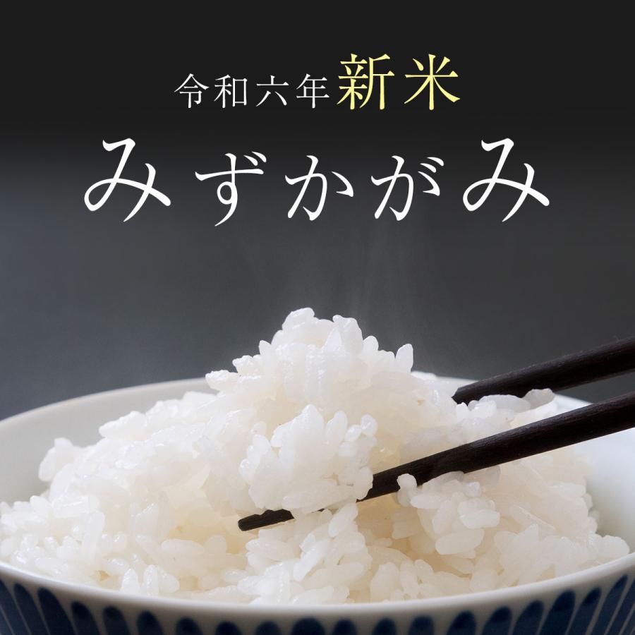 新米 みずかがみ 10kg 令和6年 送料無料 お米 白米 玄米 1等級米 新米 みずかがみ 10kg 令和6年 送料無料 お米 白米 玄米 1等級米