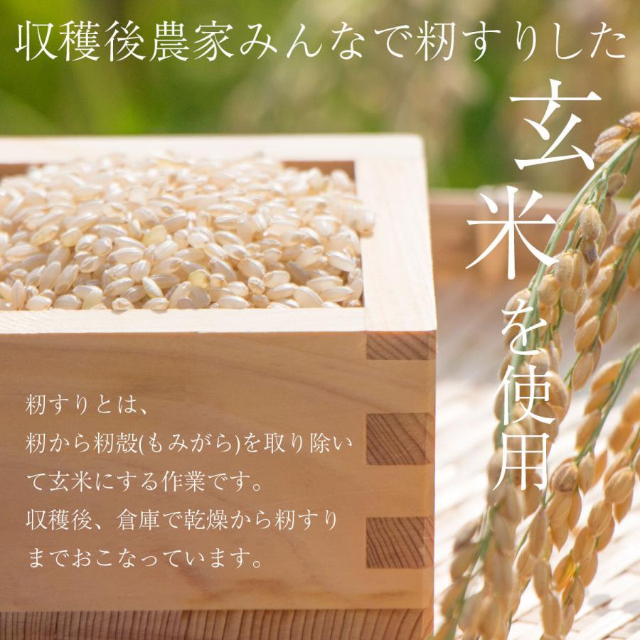新米 みずかがみ 3合 450g 令和6年 送料無料 ポイント消化 お 新米 みずかがみ 3合 450g 令和6年 送料無料 ポイント消化 お