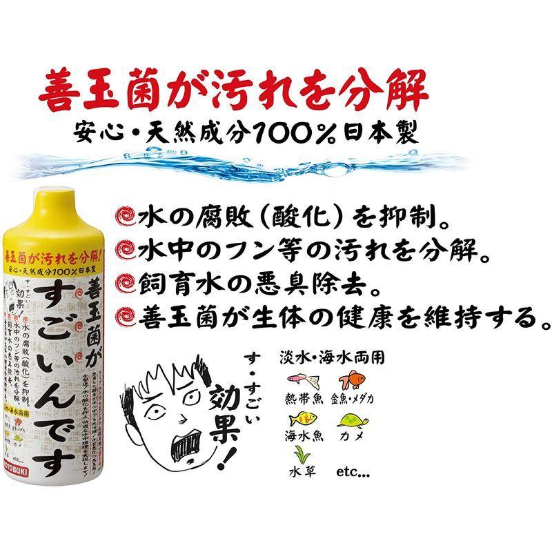 お気に入 寿工芸 善玉菌がすごいんです 500ml blaccoded.com お気に入 寿工芸 善玉菌がすごいんです 500ml blaccoded.com