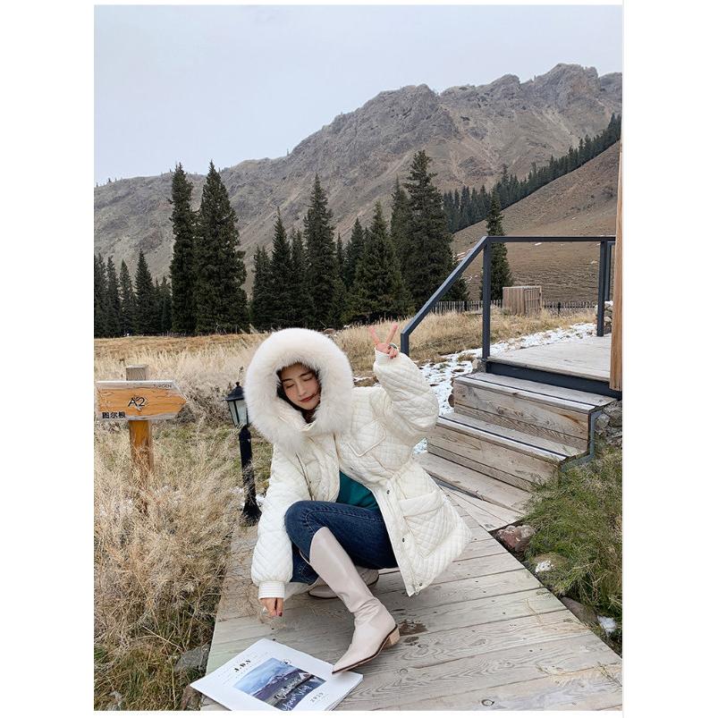 Web限定 ダウンジャケット ダウン ファー付き ショート丈 暖かい レディース 代引不可 Toscelikspecialsteel Com