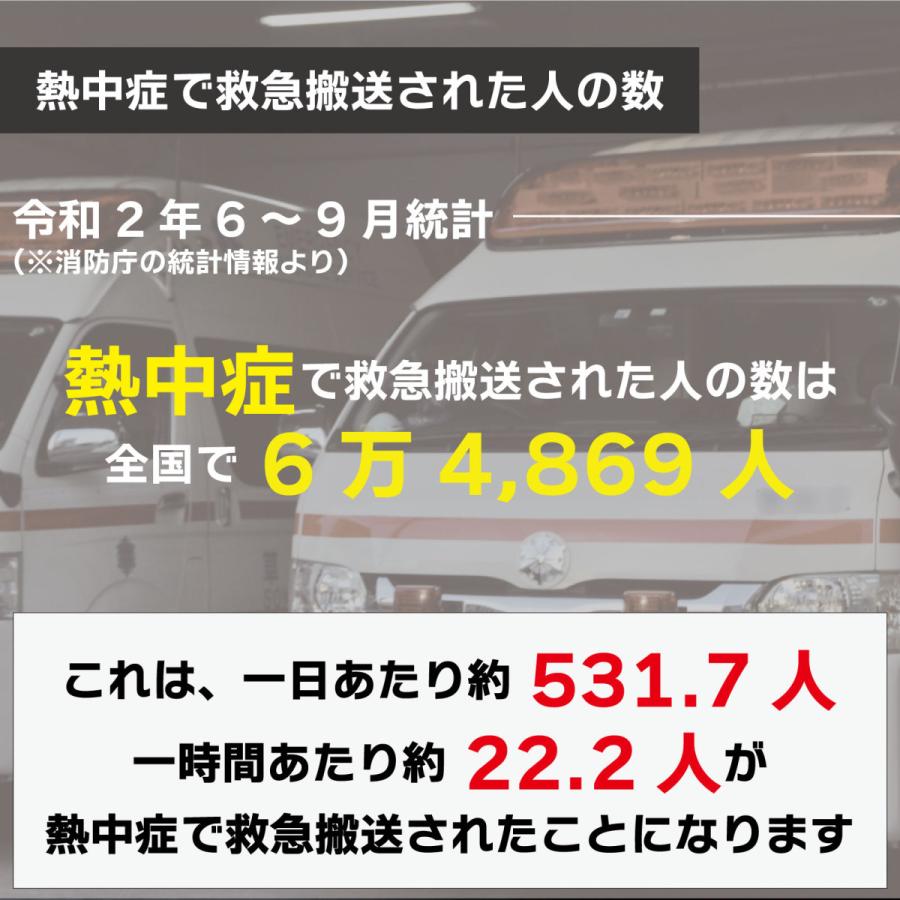 贈物 簡易 熱中症対策グッツ 熱中症対策スリムセット 送別 プロの防災士監修 熱中症対策セット 現場 建設 Discoversvg Com