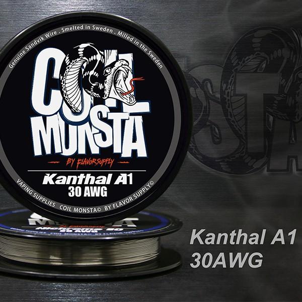電子タバコ VAPE コイルモンスター コイル カンタル A1 KANTHAL 30