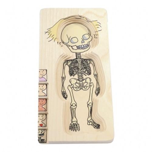 正規品 ボーネルンド 人体パズル 女の子 知育玩具 3歳 Be F L Clover 通販 Yahoo ショッピング