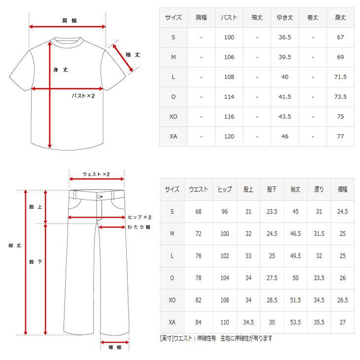 デサント DESCENTE 半袖 短パン 上下セット メンズ グラフィック 【DMMRJA66/DMMRJD84 】｜fleaboardshop01｜04