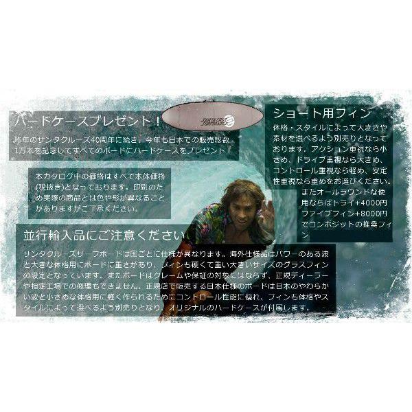 サンタクルーズ サーフボード SANTA CRUZ surfboard ショート サンタクルーズ サーフボード SANTA CRUZ surfboard ショート