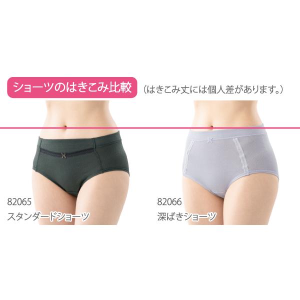 深ばきショーツ お肌にやさしい下着 Fleep フリープ 綿100％ ウエストらくちん 単品 日本製 ネコポス可 82066 S M L LL | Fleep | 18