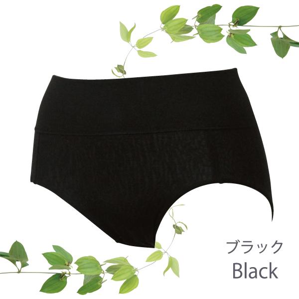 ハイライズショーツ WEB限定 深ばきショーツ パンツ お肌にやさしい下着 Fleep フリープ ヘルシー 綿100％ 日本製 83102 S M L LL ネコポス可 ショーツ | Fleep | 06