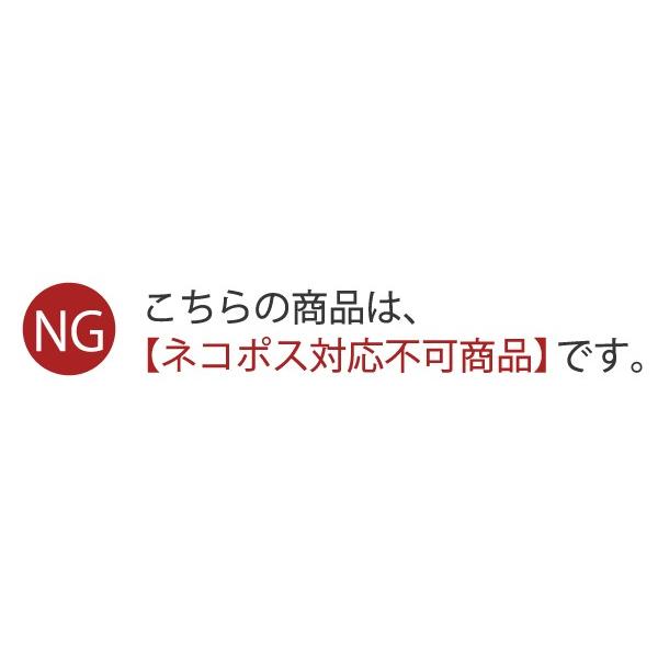 WEB限定品 ブラジャー Tシャツブラ ハーフトップ コンフォート Fleep フリープ 綿ベア天 綿混 スポブラ ソフトブラ ノンワイヤー 日本製 ネコポス不可 87024 bra | Fleep | 19