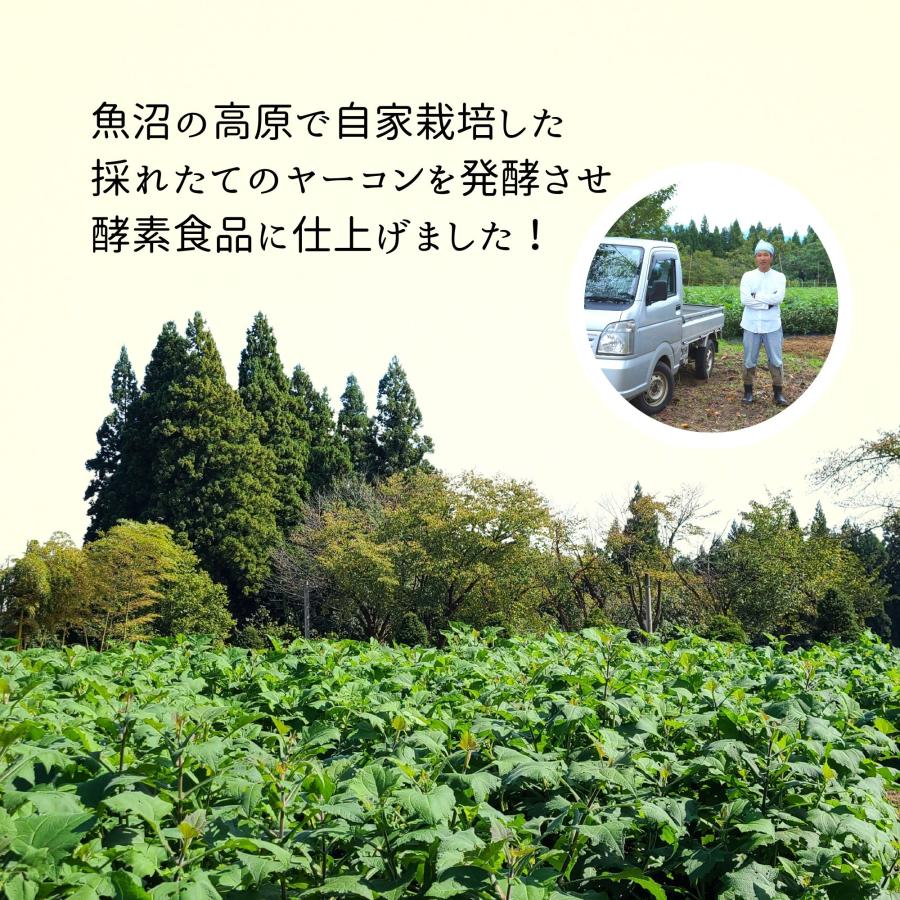 酪酸菌 短鎖脂肪酸 腸活サプリ ｜龍氣養命堂【発酵 ヤーコン】60本（菌活酵素 フラクトオリゴ糖 美活サプリメント） |  | 05