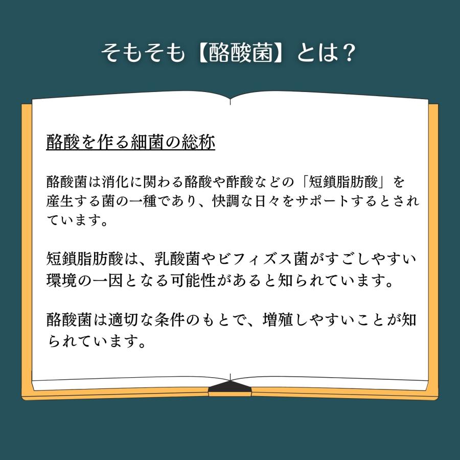 酪酸菌 短鎖脂肪酸 腸活サプリ ｜龍氣養命堂【発酵 ヤーコン】60本（菌活酵素 フラクトオリゴ糖 美活サプリメント） |  | 02