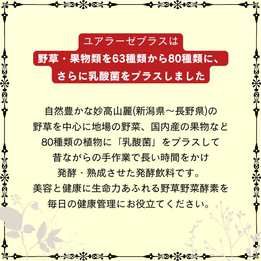プレミアム仕様｜龍氣養命堂【野草濃縮発酵液 ユアラーゼプラス】720ml |  | 06