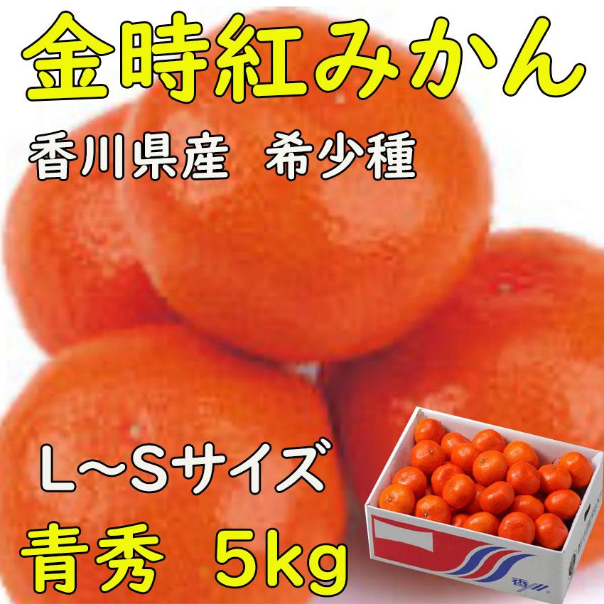 金時紅 みかん 香川県産 5kg 青秀品 S〜Lサイズ 贈答 お歳暮 日付指定
