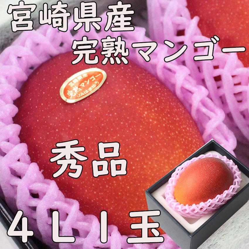 宮崎県産 完熟マンゴー 4L 秀品 母の日 父の日 農協品 JA のし 熨斗  