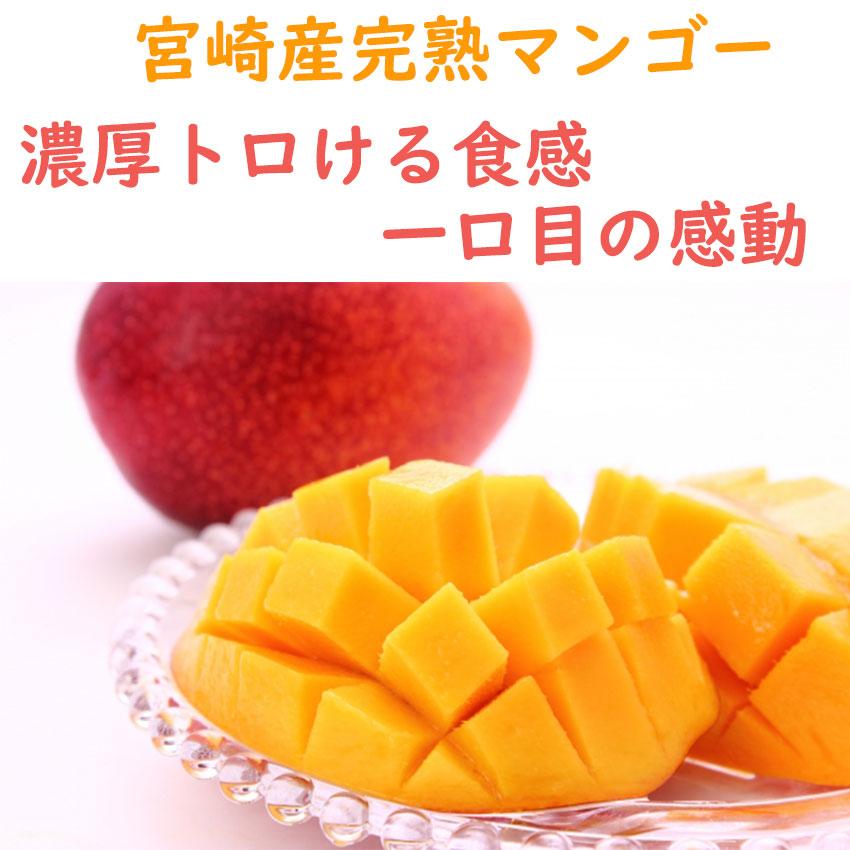 完熟マンゴー 4L3玉 510〜649g 赤秀品 宮崎産 超大玉  父の日 マンゴー みやざき完熟マンゴー 赤秀 3Lサイズ 450g以上×2玉