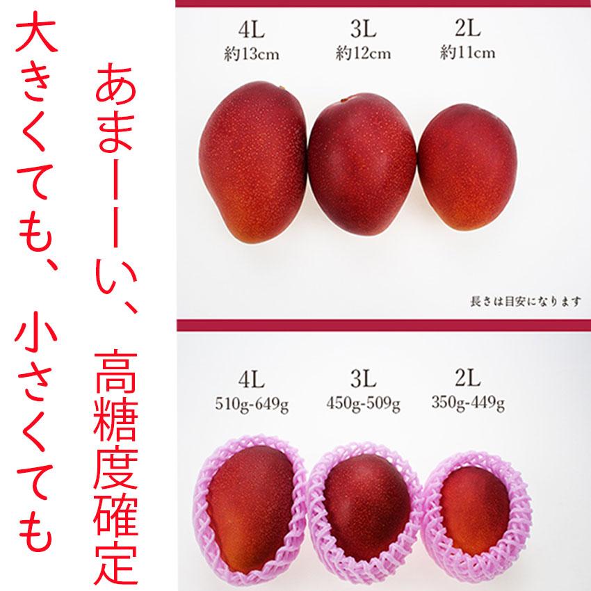 完熟マンゴー 4L3玉 510〜649g 赤秀品 宮崎産 超大玉  父の日 マンゴー みやざき完熟マンゴー 赤秀 3Lサイズ 450g以上×2玉