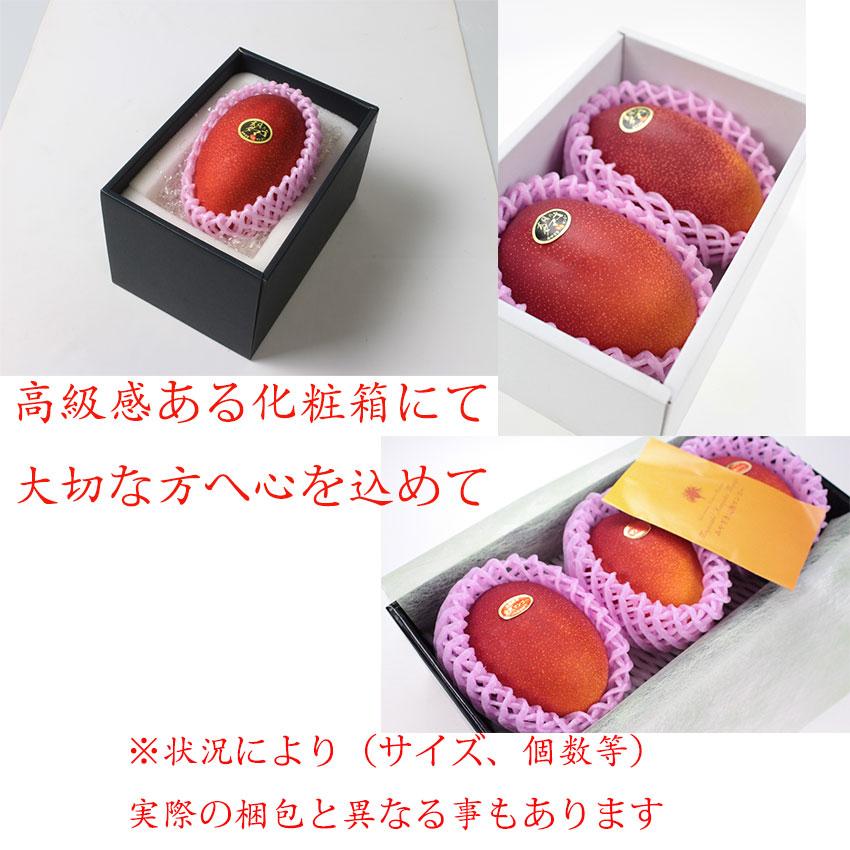 完熟マンゴー 宮崎県産 4L 3玉 父の日 のし 熨斗 赤秀品