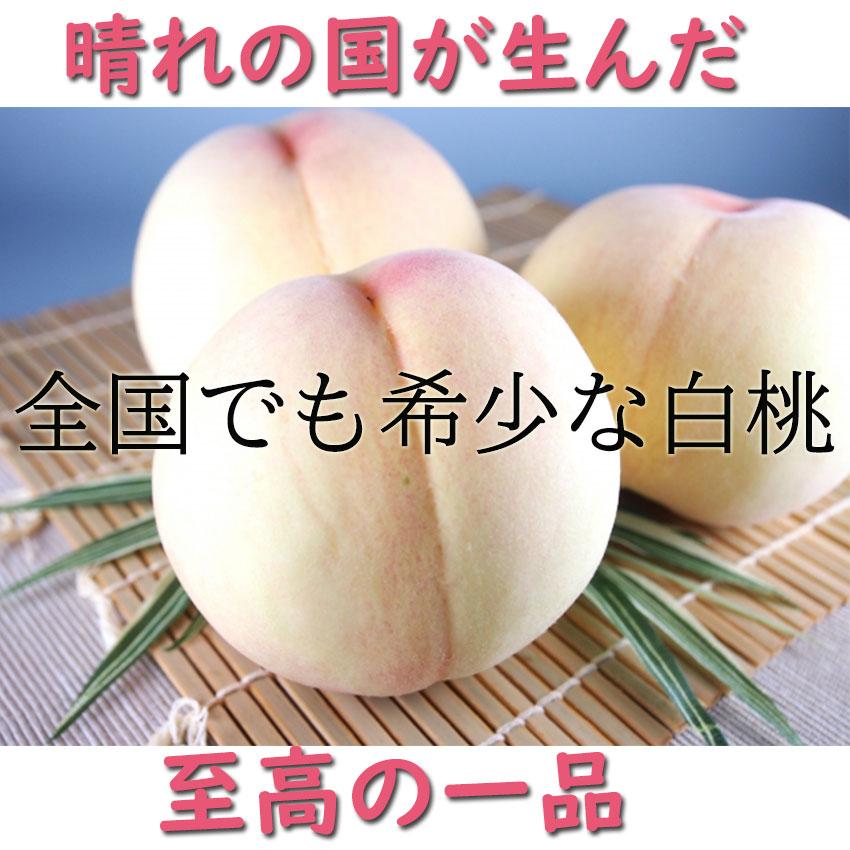 お中元 ご家庭用 桃 岡山白桃 岡山産 御中元 送料無料 3kg 9玉