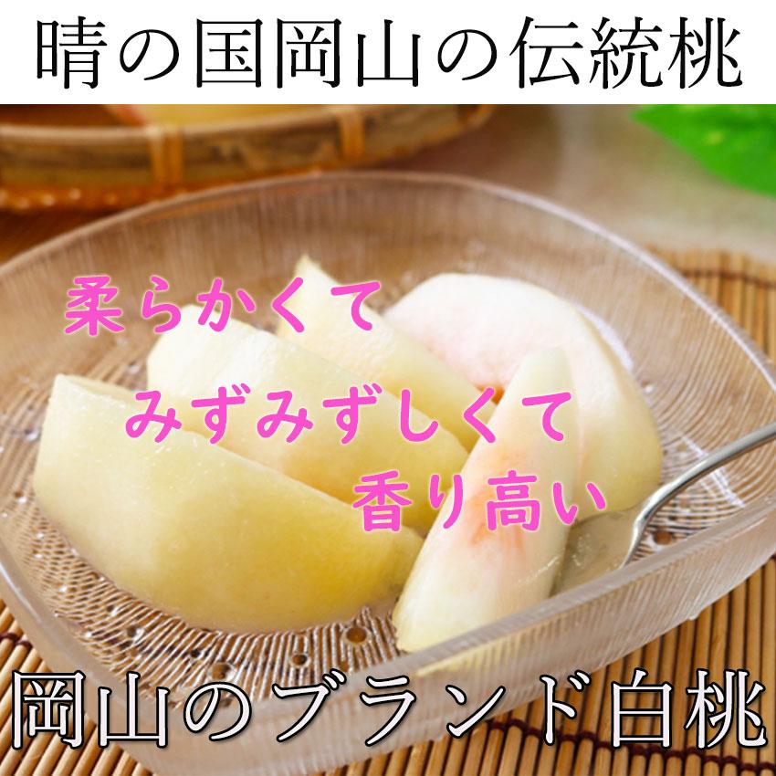 お中元 ご家庭用 桃 岡山白桃 岡山産 御中元 送料無料 3kg 9玉