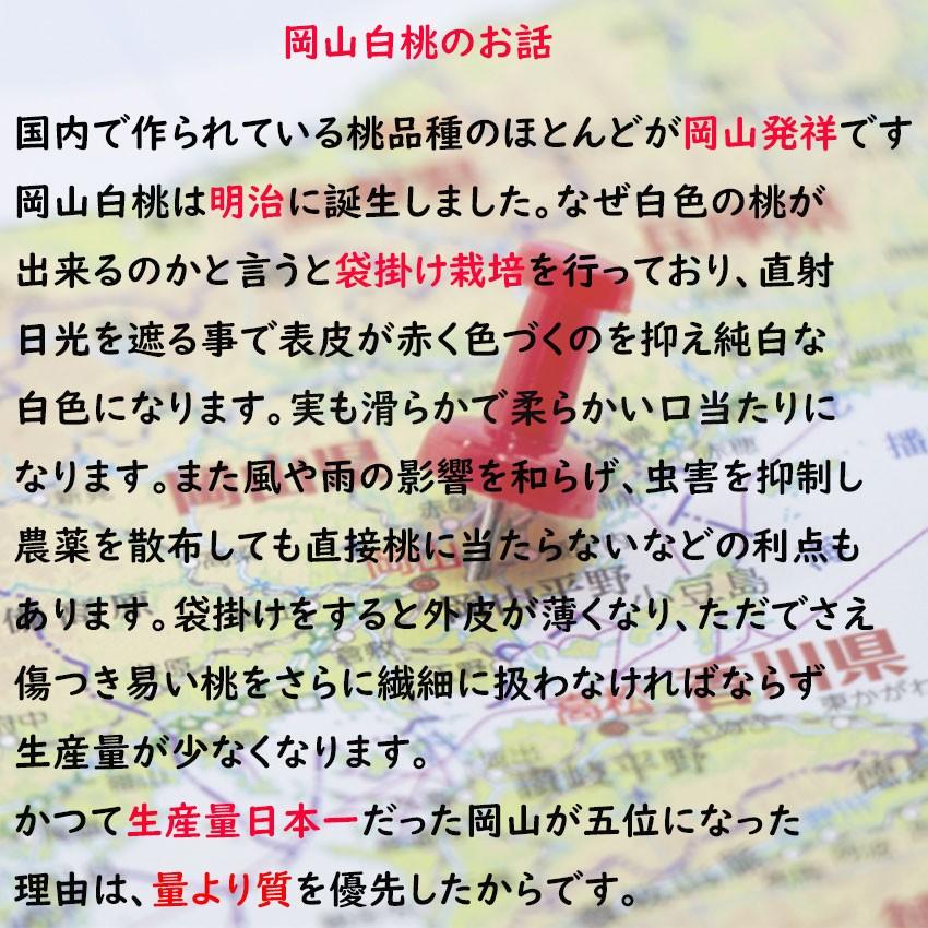 お中元 岡山白桃 ３kg ９〜１２玉 最高等級 ロイヤル 贈答用 糖度センサー 桃 岡山産 御中元 熨斗 のし 秀品 光センサー選科 ギフト 贈答 JA 農協 旬_4