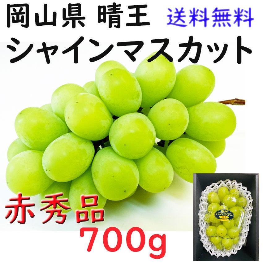 お中元 シャインマスカット 岡山県産 700g 赤秀 大粒 1房 のし 熨斗 JA 農協 ギフト プレゼント 御礼 日付指定OK 指定日OK