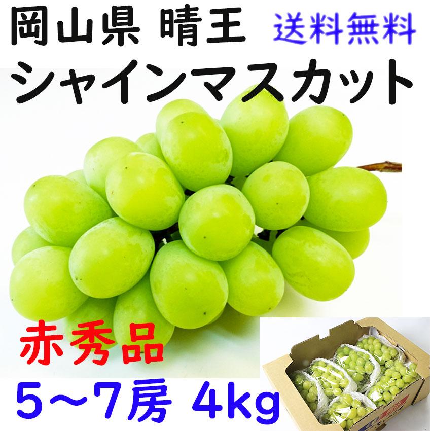 シャインマスカット 岡山 晴王 赤秀 4kg 4〜8房 お中元 JA 熨斗 のし 