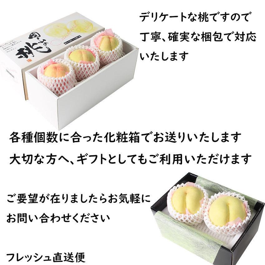 お中元 シャインマスカット 白桃 送料無料 岡山 晴王 贈答用 1房500ｇ〜599ｇ 3玉250ｇ以上 御中元 大粒 大玉  JA 農協 のし 熨斗 ギフト プレゼント詰め合わせ｜fleshchokusoubin｜07