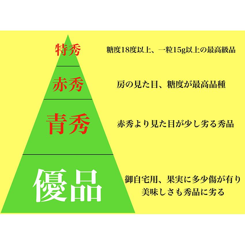 シャインマスカット 岡山県産 晴王 赤秀 1.2kg ２〜3房  贈答 元 高糖度 ギフト プレゼント 御礼 のし 熨斗 指定日ok｜fleshchokusoubin｜06