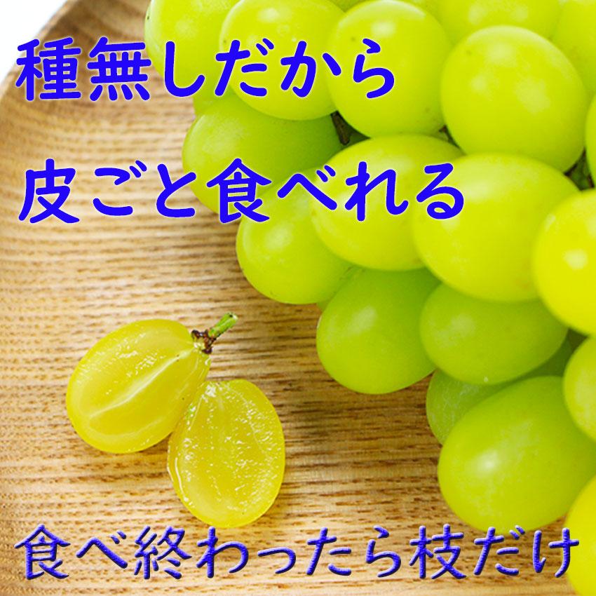 誕生日プレゼント誕生日プレゼントお中元 シャインマスカット 晴王 ぶどう 岡山産 400ｇ×２ 赤秀品 贈答 のし 熨斗 ＪＡ 農協 ギフト  プレゼント 高品質 指定日ok 贈答 御礼 お見舞い ぶどう