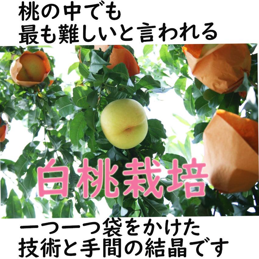 お中元 清水白桃 送料無料 桃 岡山県産 約800g 3玉 ロイヤル 最上級 最