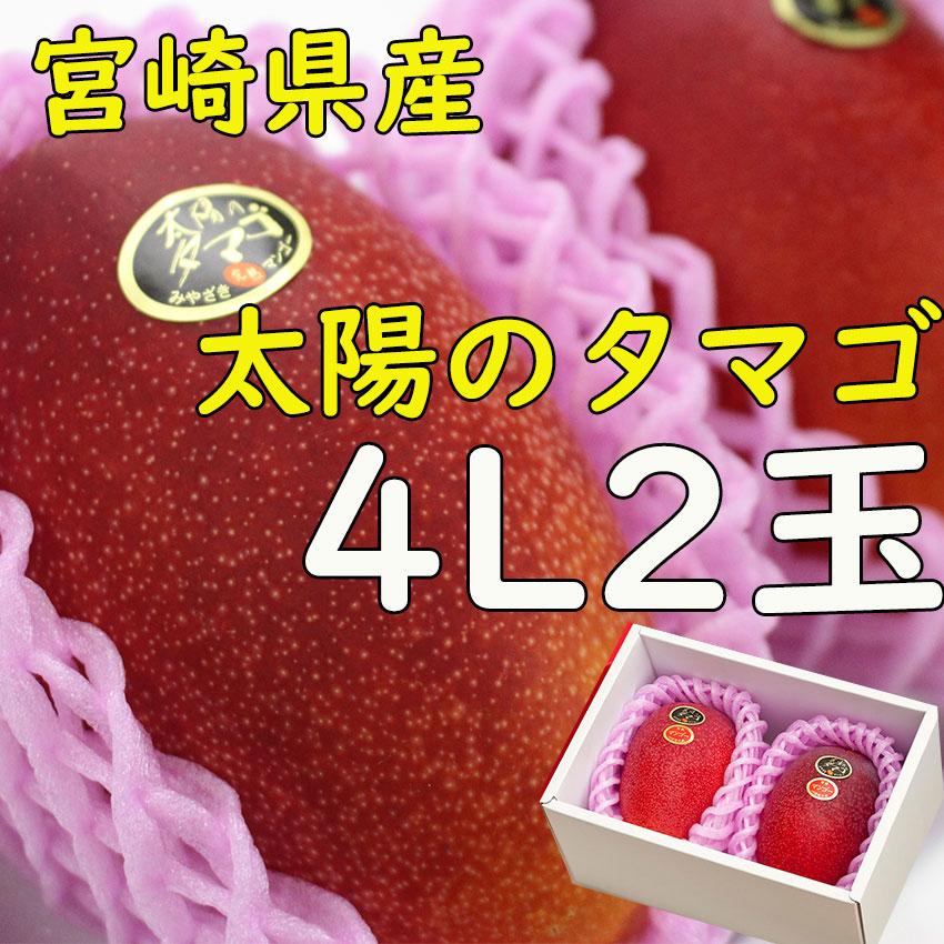 マンゴー 宮崎県産 太陽のタマゴ 4L 2玉 秀品 送料無料 贈答 ギフト 高