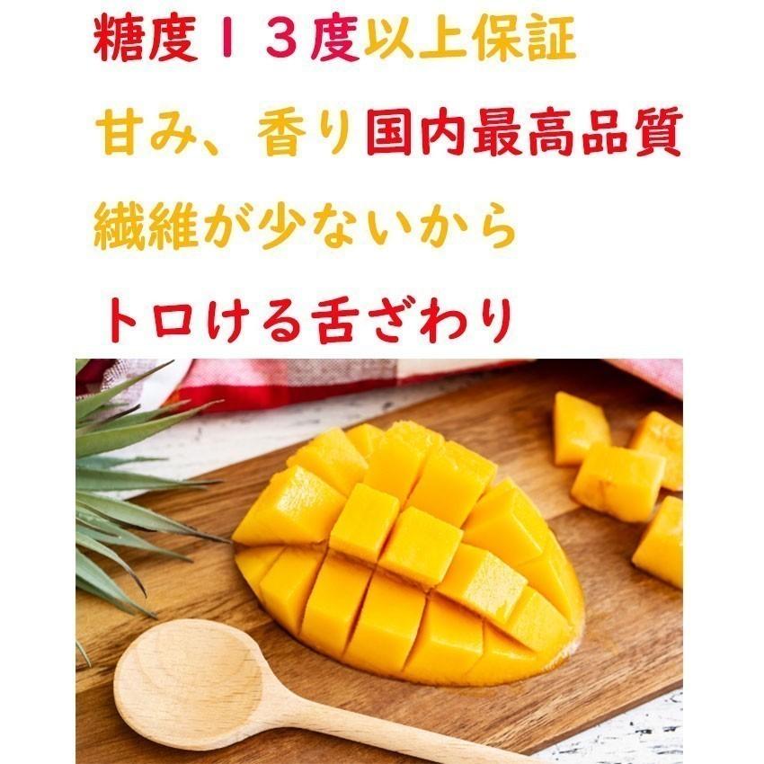 マンゴー 宮崎県産 太陽のタマゴ 4L 2玉 秀品 送料無料 贈答 ギフト 高 