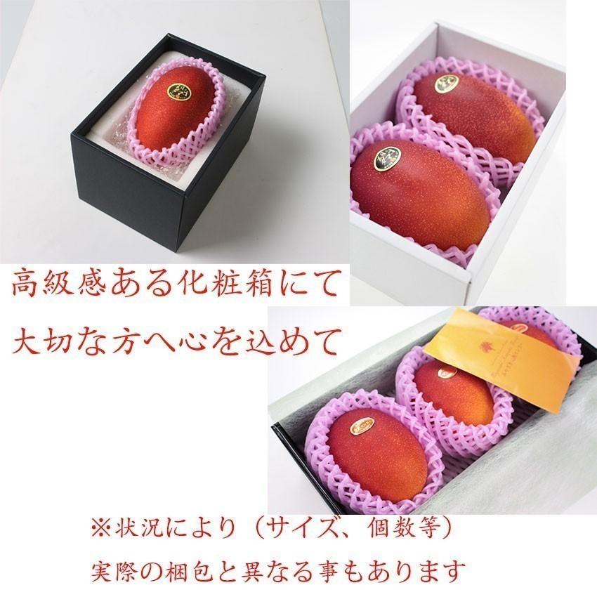 マンゴー 宮崎県産 太陽のタマゴ 4L 2玉 秀品 送料無料 贈答 ギフト 高