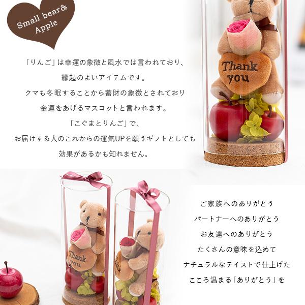 プリザーブドフラワー こぐまとりんご ガラスボトル花ギフト 花 プリザーブドフラワー こぐまとりんご ガラスボトル花ギフト 花