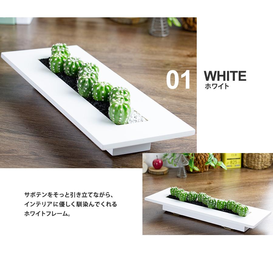 「サボテン」 【フレームサイズ 32×26cm】 サボテン」 【フレームサイズ 32×26cm】 サボテン」 【フレームサイズ